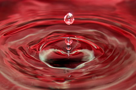 closeup photo of water drop and ripples of water