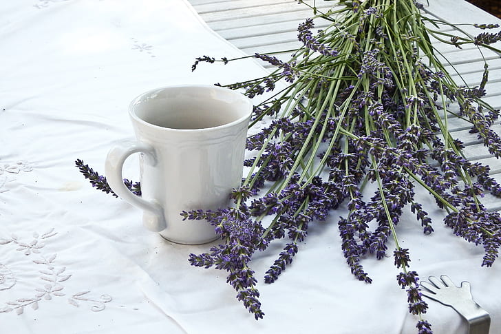 lavender flowers beside white ceramic mug on table with white tablecloth