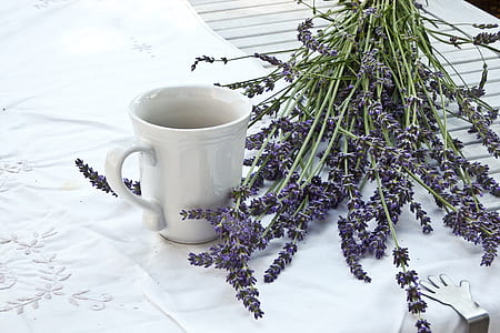 lavender flowers beside white ceramic mug on table with white tablecloth