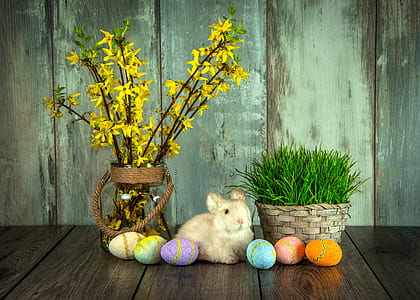 bunny between potted plants and easter eggs decor set