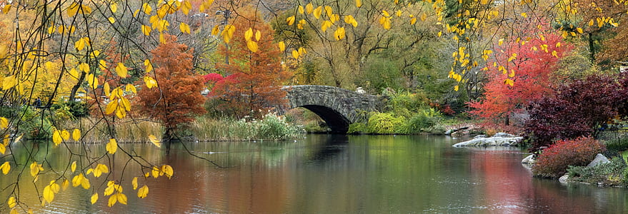 gray bridge near garden and body of water