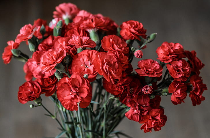 red petaled flowers bouquet