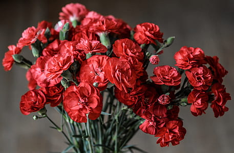 red petaled flowers bouquet