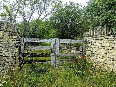 gray wooden gate with green grass at daytime