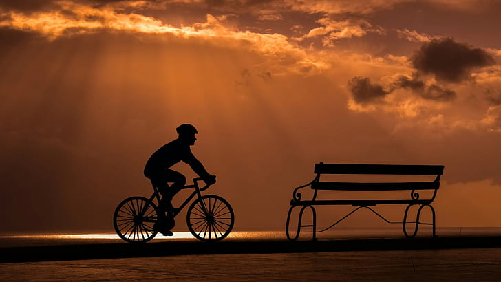 bench and bicycle