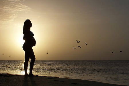 silhouette of pregnant woman standing on shoreline during golden hour