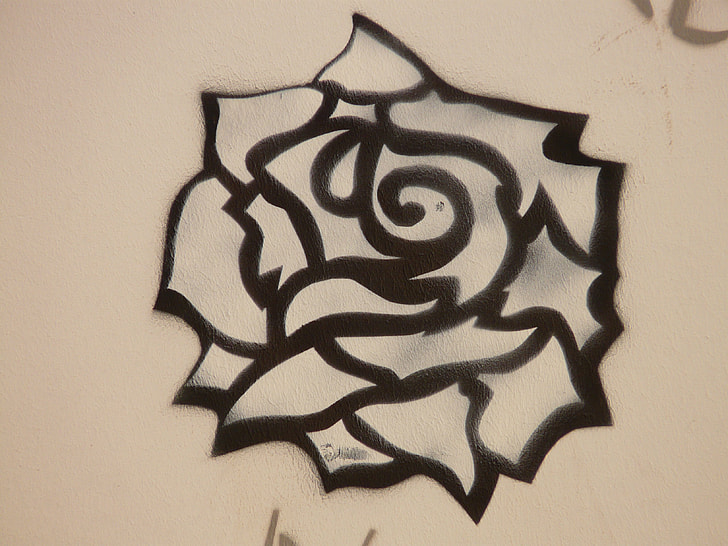 black rose drawing close up photo