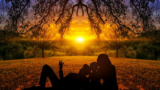 man, woman, and child sitting under leaf tree watching sunset close-up photo