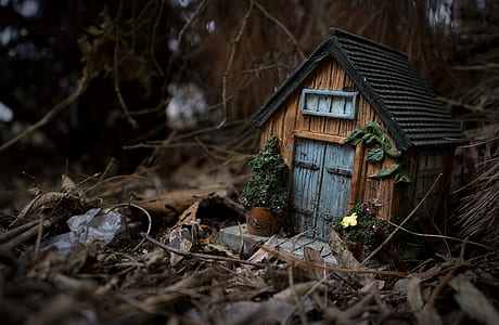 shallow focus photography of brown, black, and gray storage house decor surrounded by dried leaves