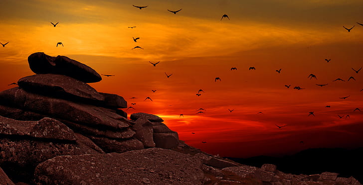 silhouette of flock of birds flying over the mountain during sunset