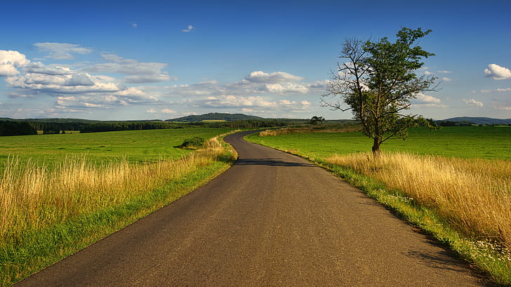 landscape photo of asphalt road between grass field