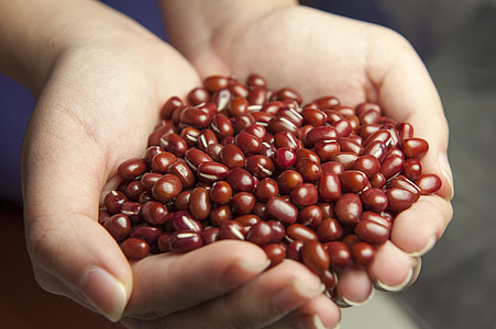 person holds beans