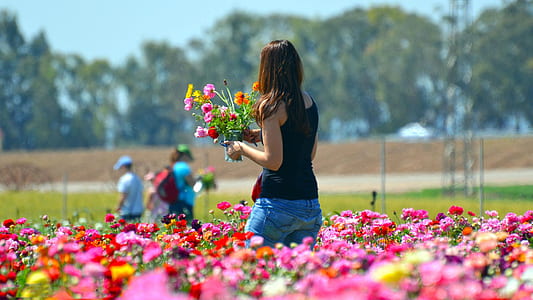 woman in black sleeveless shirt standing on field of pink petaled flowers