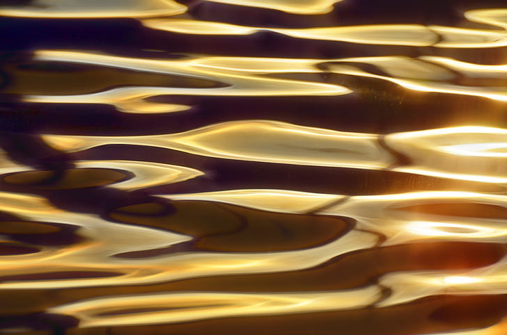 closeup photo of water during golden hour