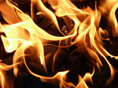 close up view of yellow fire