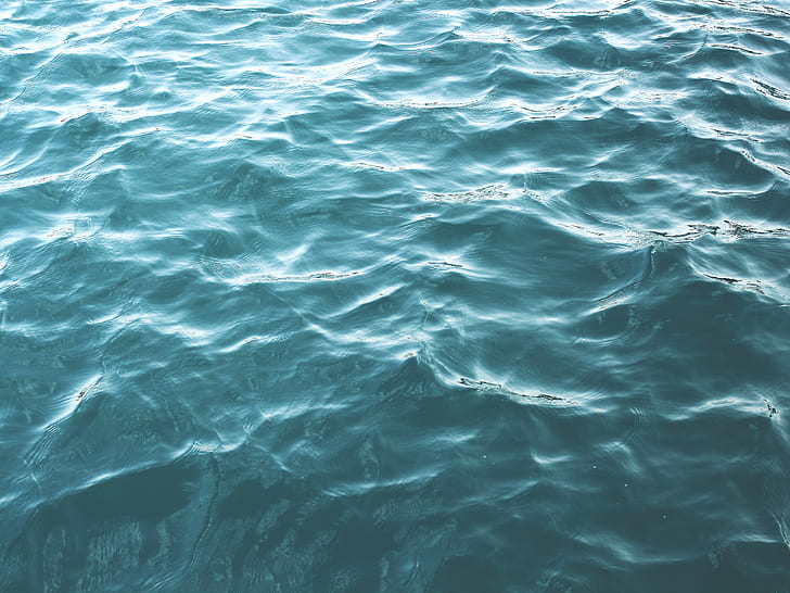 A close up of a water surface with ripples. Waves circles water wave. -  PICRYL - Public Domain Media Search Engine Public Domain Search