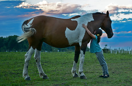 girl in blue shirt and gray pants hugging a brown and white horse