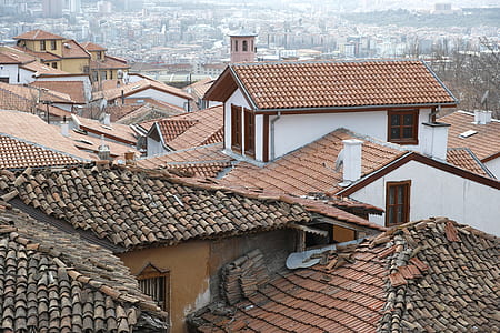brown roof brick houses