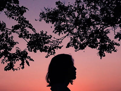 silhouette photo of woman below trees