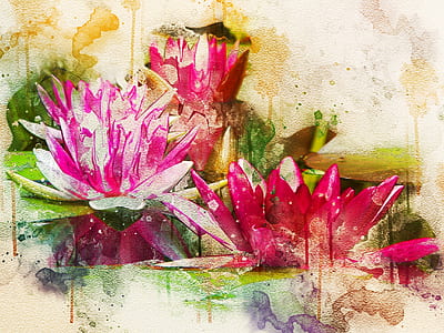 three pink waterlilies painting with brown background