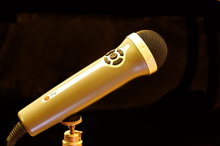 Brown and Silver Microphone