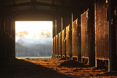 horse stable with sunlight