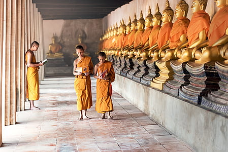 three monks walking on alley beside statues