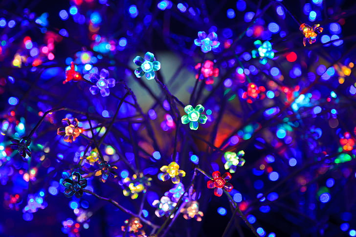 assorted-color flower string lights close up photo