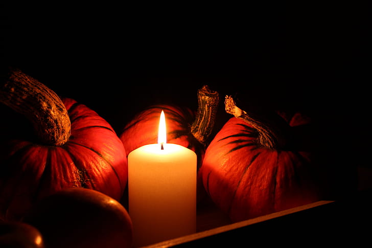 lighted pillar candle beside pumpkins