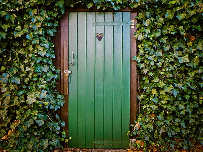 green wooden door