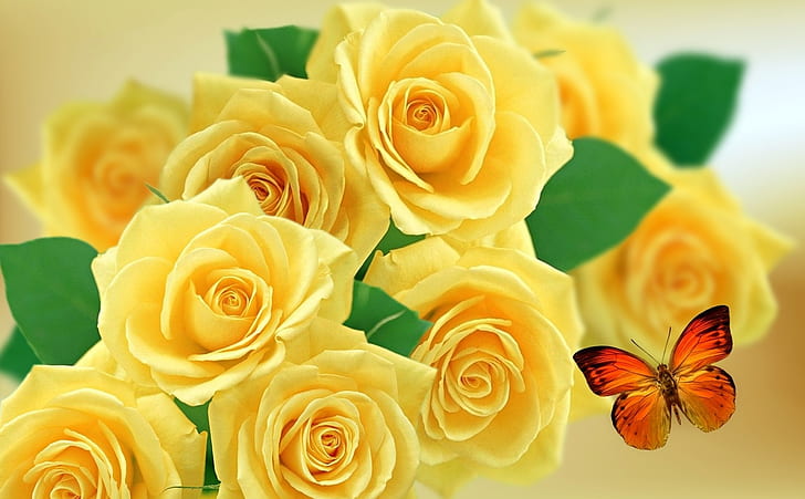 closeup photography of yellow roses and red butterfly