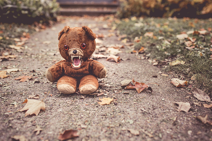 brown bear plush toy on gray concrete floor
