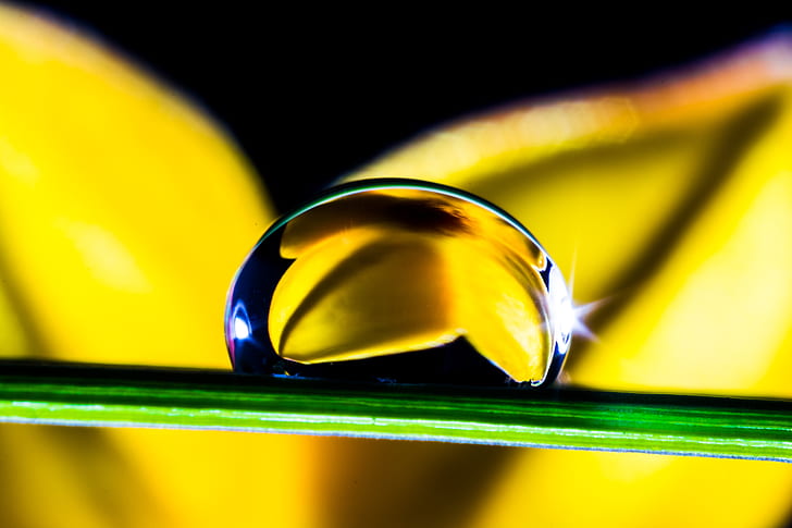 macro shot of droplet on leaf