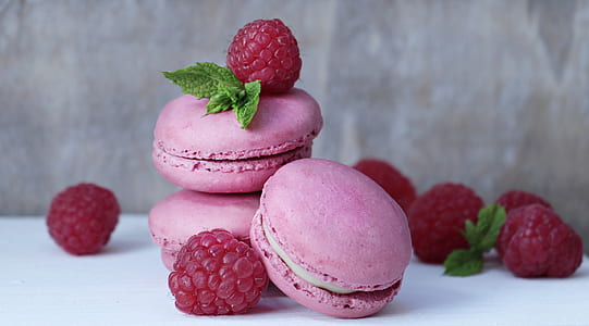 berry French macaroon