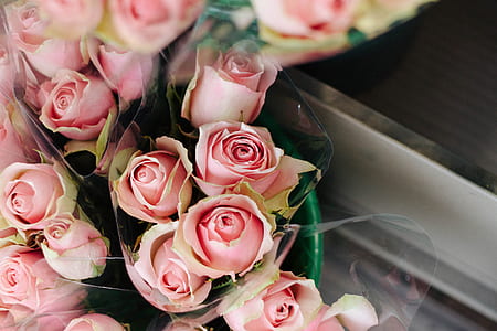 photo of bouquet of pink roses