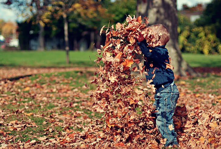 toddler boy playing dried leaf near tree trunk