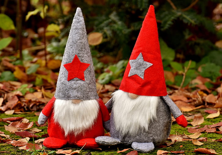 two gnomes on garden
