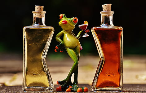 green frog between two glass bottles