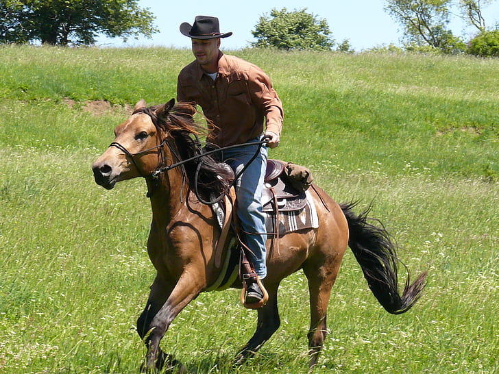 man riding horse during daytime