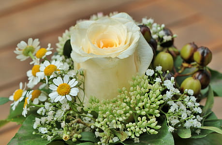 yellow rose and white-and-yellow daisy flowers