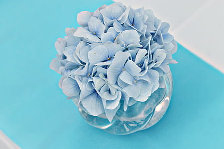 blue hydrangea flower arrangement