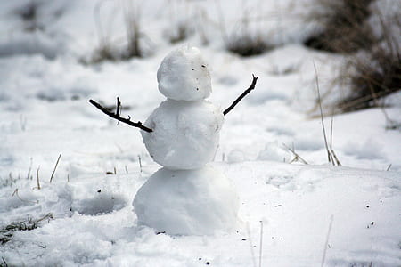 selective focus photography of snowman on ic