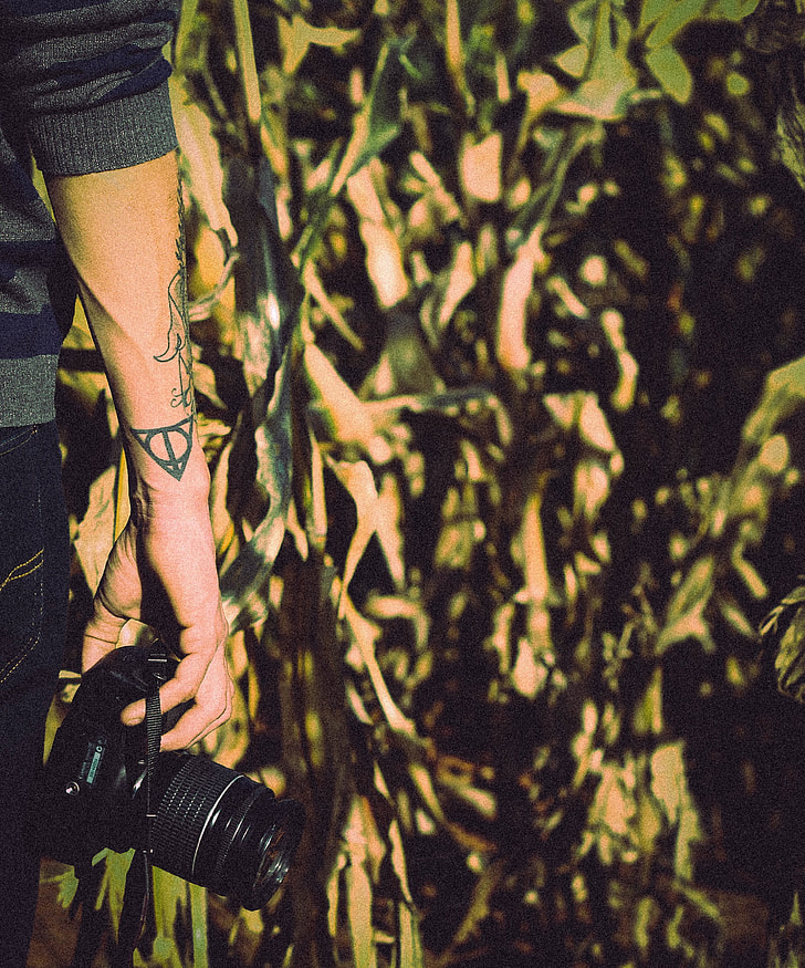 person holding DSLR camera standing near banana trees