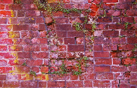 photo of red brick wall