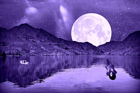 purple filter photograph of full moon and lake