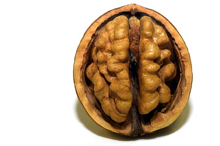 close-up photography of walnut