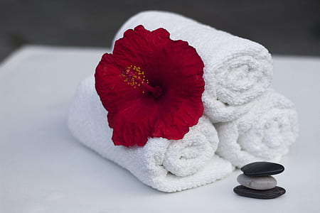 white bathroom towel with red hibicus