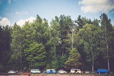 cars lined up near trees