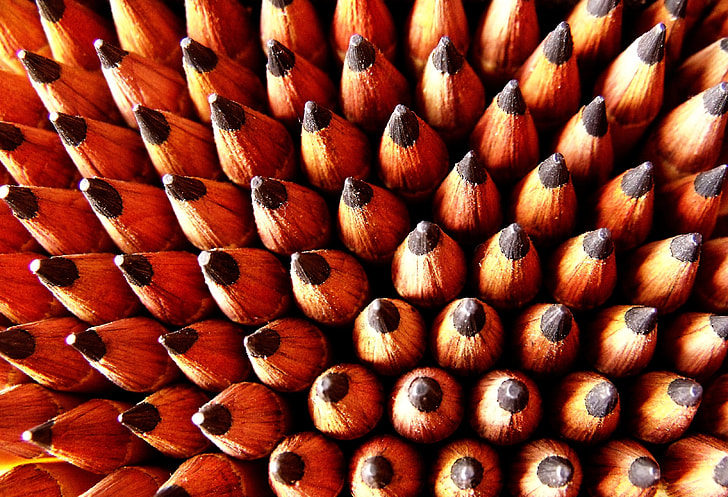 macro photography of pencils