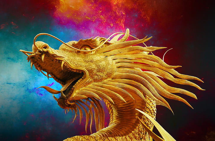 golden dragon digital wallpaper
